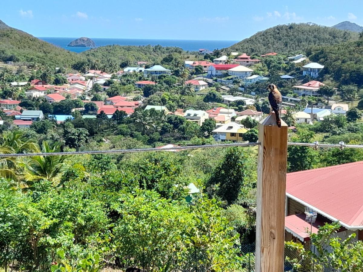 Villa KAZ ANOLI vue époustouflante sur la baie à Terre-de-Bas Extérieur photo